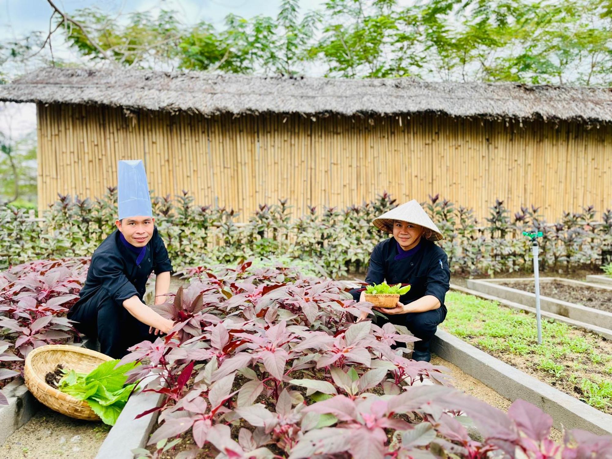 Ttc Van Phong Bay Resort - Himalaya Sauna & Steam Retreat Included Ấp Ninh Hòa  エクステリア 写真