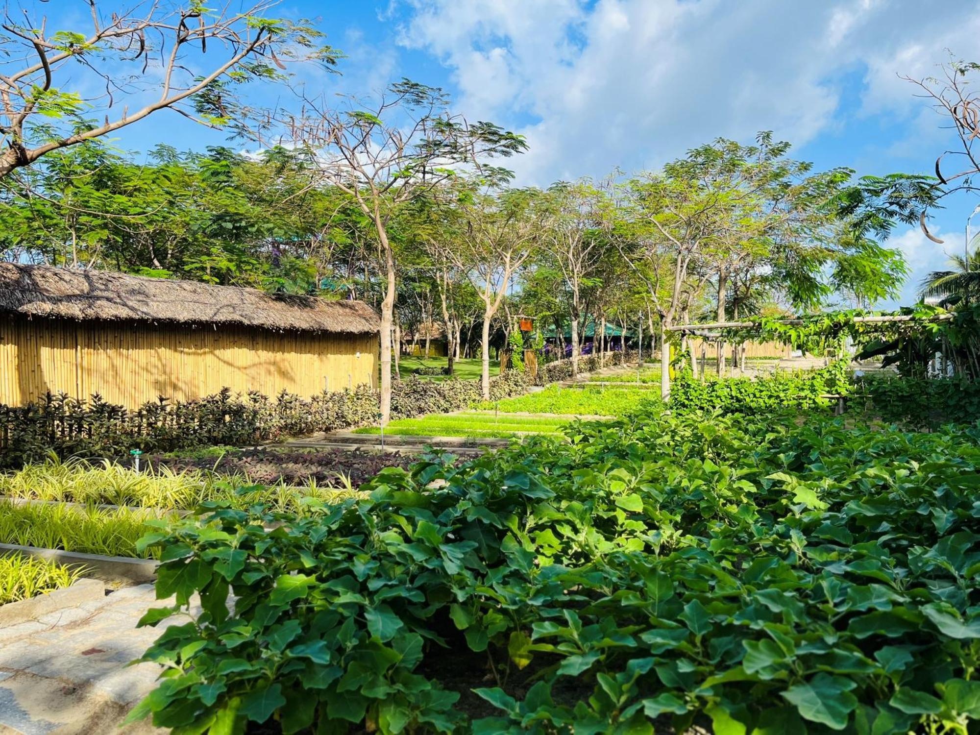 Ttc Van Phong Bay Resort - Himalaya Sauna & Steam Retreat Included Ấp Ninh Hòa  エクステリア 写真